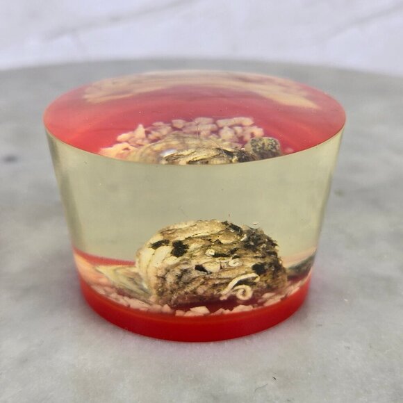Vintage Open Clam with Pearl Lucite Encased Paperweight Red Base Made in Japan - Picture 3 of 9